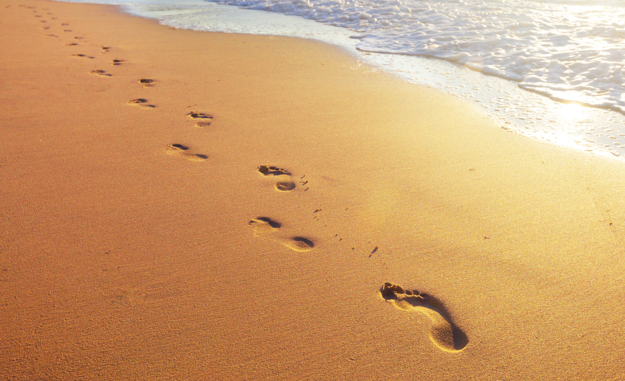Footprints leading along a beach beside the sea