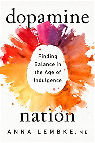 Cover of Dopamine Nation