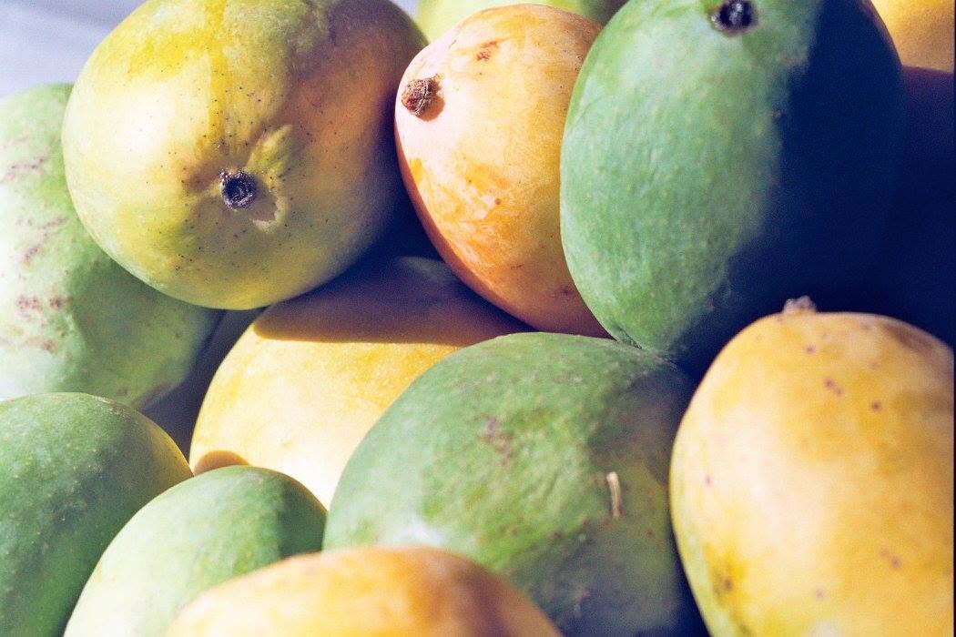 A close view of green, yellow and orange mangoes piled together