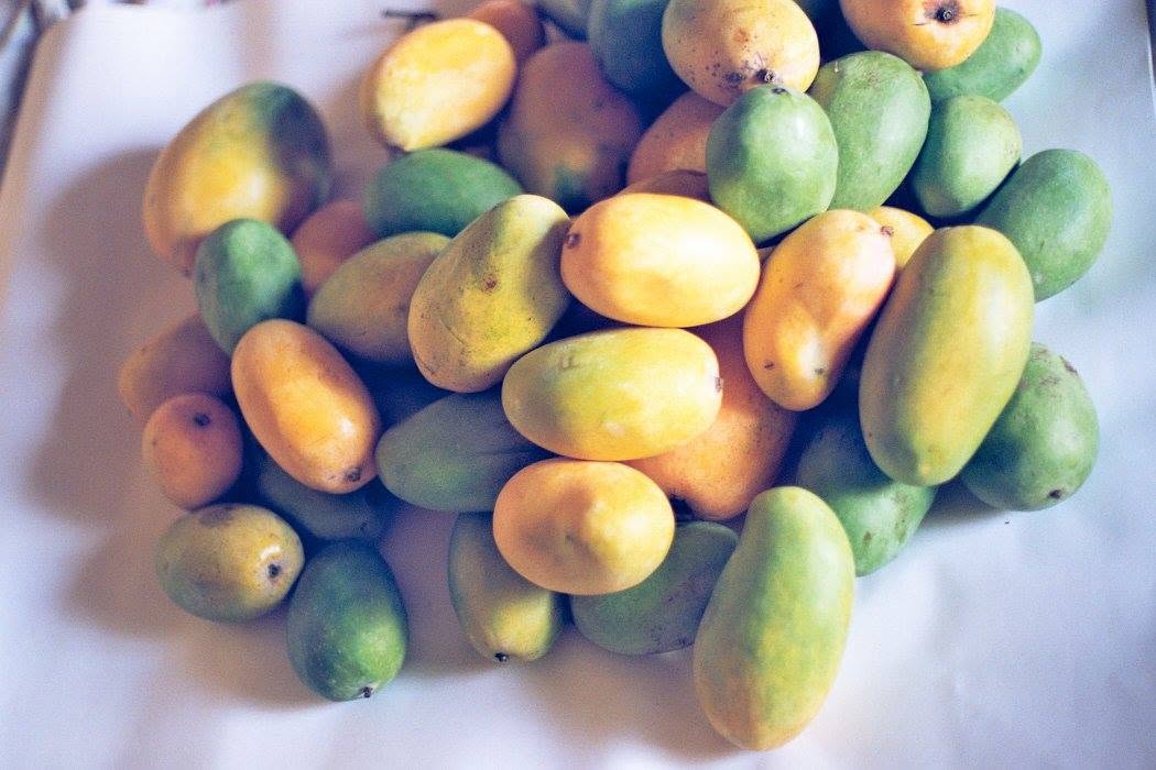 A large mixed pile of small green, yellow and orange mangoes
