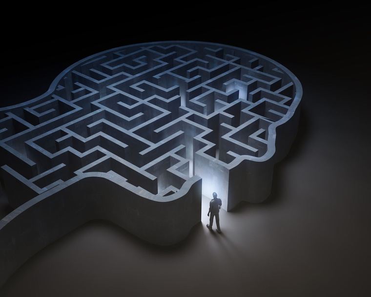 Maze brain